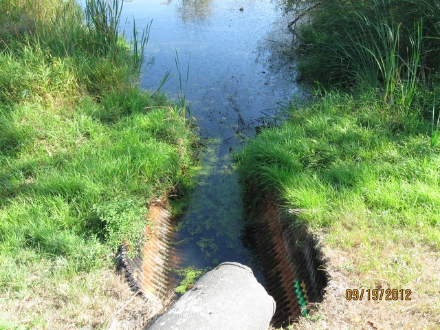 Water Tributary
