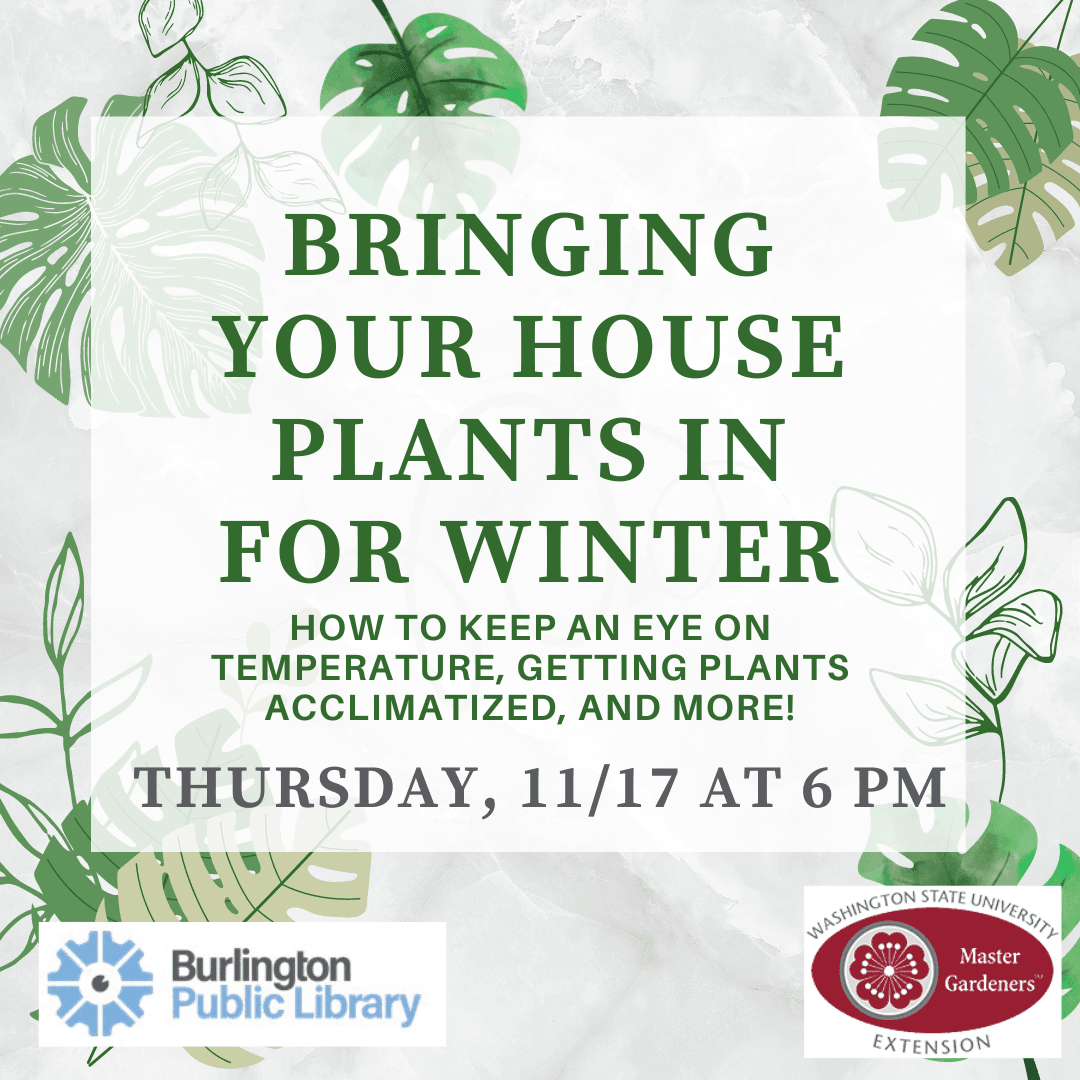 Bringing Your Houseplants inside for winter
