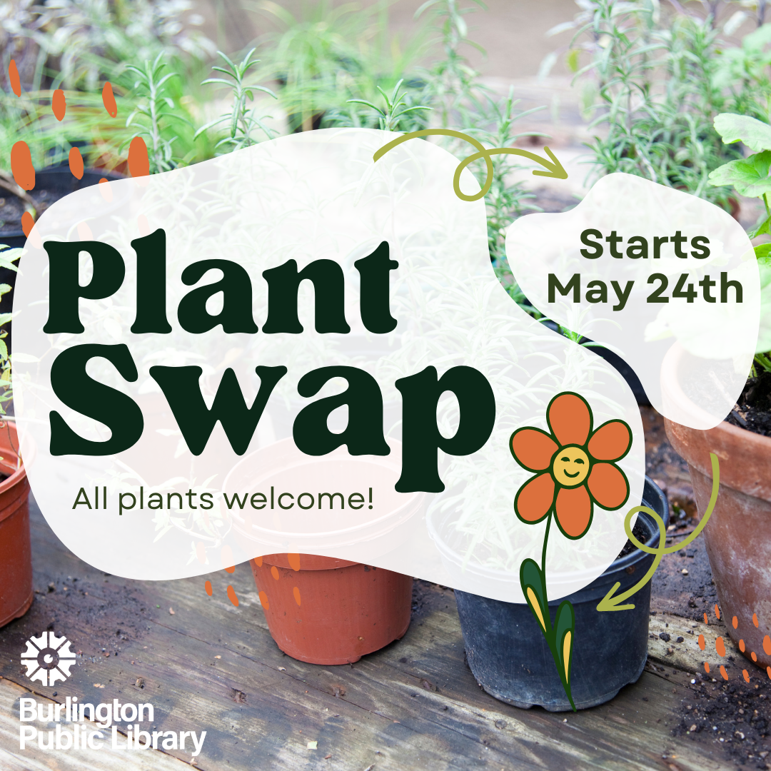 Swap (Instagram Post (Square))