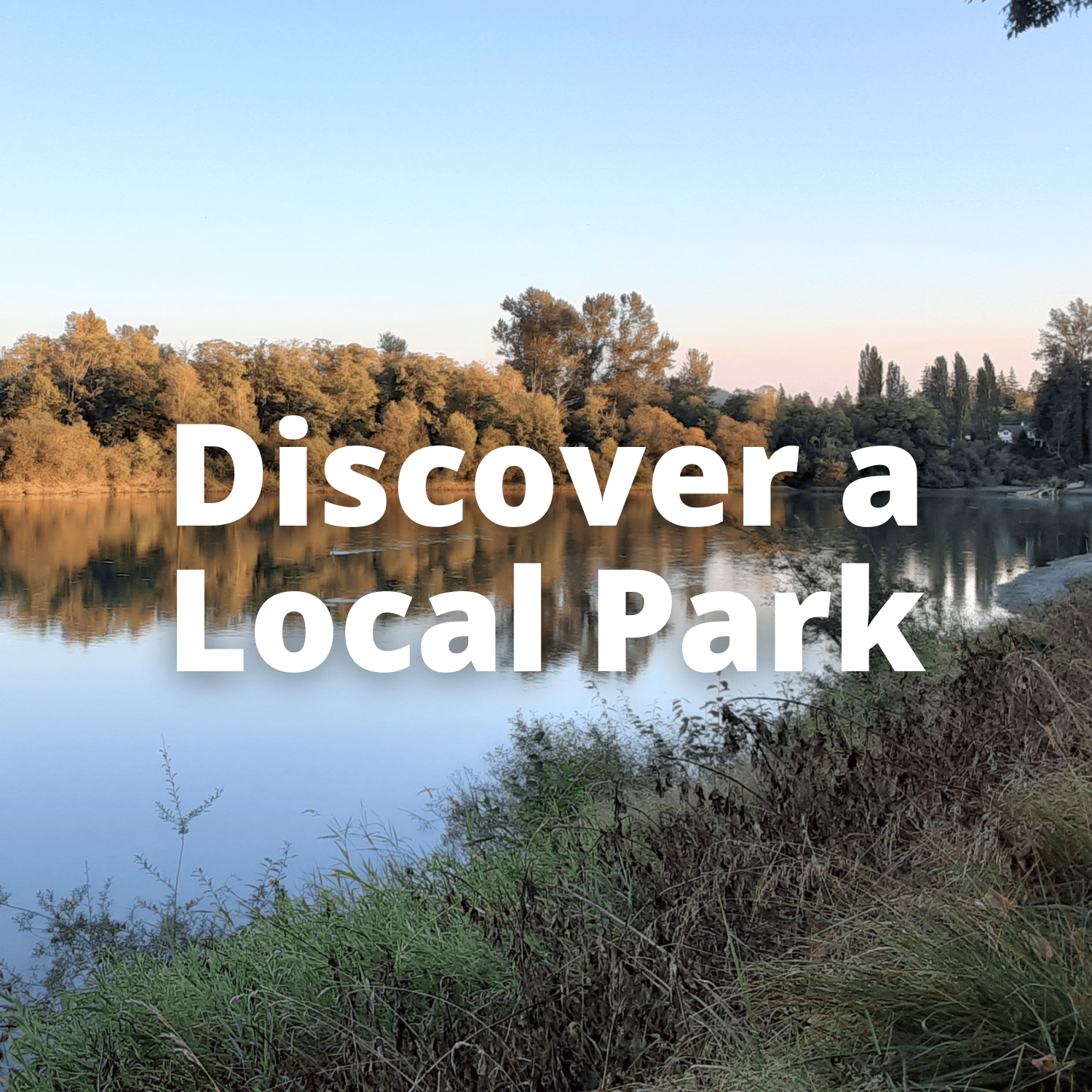 Discover a Local Park