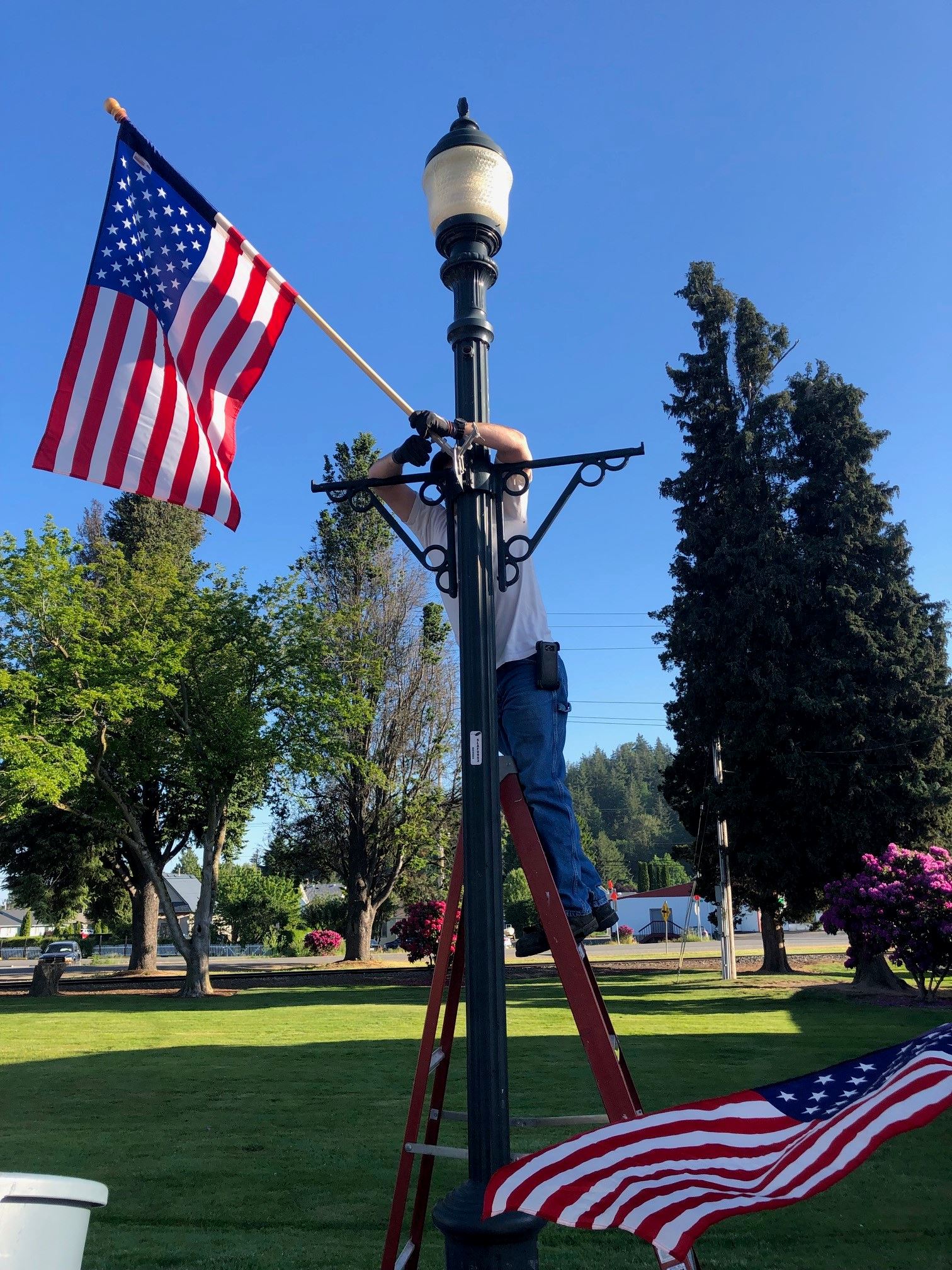 Flags up on Fairhaven Avenue